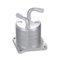NISSAN OIL COOLER ASSEMBLY 21300-JA06A