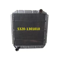 Auto car cooling Radiator 3163-1301010
