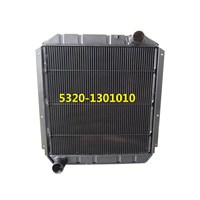 Auto car cooling Radiator 3163-1301010