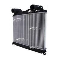 Truck Cooling Radiateur DAir Tga 81.06130.0197 Air Cooler Intercooler